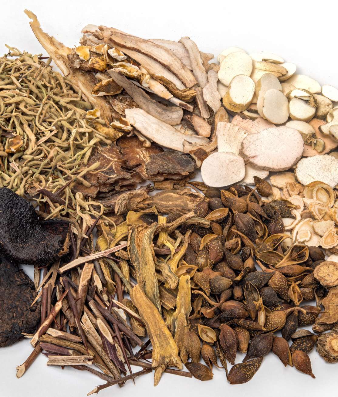 Chinese Herbs Featured Image