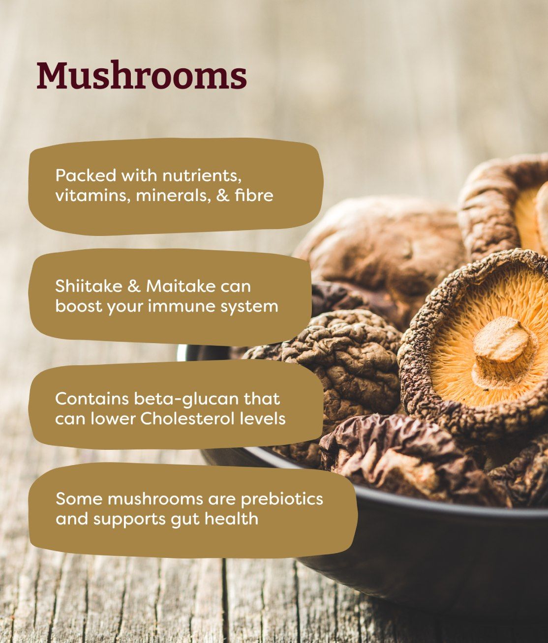 Mushroom Supplements Featured Image
