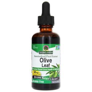 Natures Answer Olive Leaf (olea Europaea)  Alcohol Free Fluid Extract 60ml