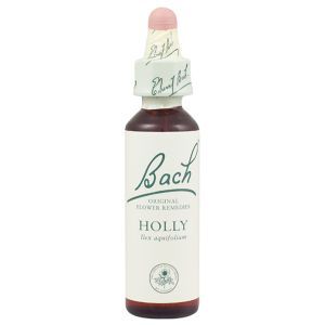 Bach Flower Remedy Holly