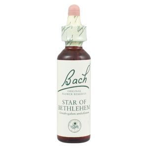 Bach Flower Remedy Star Of Bethlehem