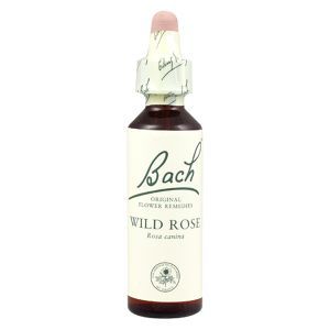 Bach Flower Remedy Wild Rose