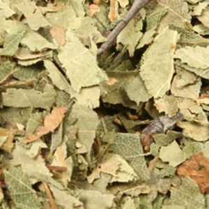 Baldwins Birch Leaves ( Betula Alba )