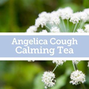 Baldwins Remedy Creator - Angelica Cough Calming Tea