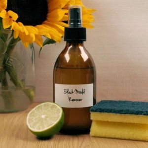 Baldwins Remedy Creator - Black Mould Remover