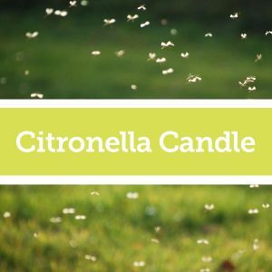 Baldwins Remedy Creator - Citronella Candle