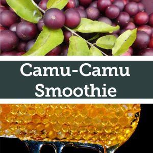 Baldwins Remedy Creator - Camu Camu Smoothie