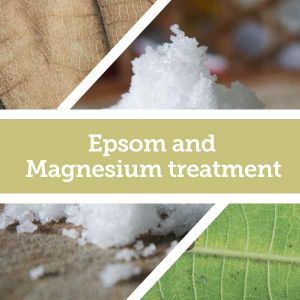 Baldwins Remedy Creator - Epsom and Magnesium Treatment