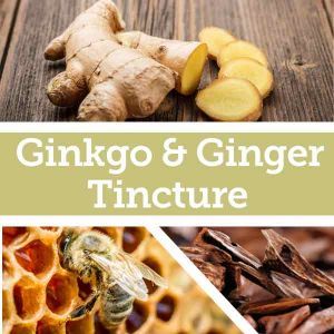 Baldwins Remedy Creator - Ginkgo and Ginger Tincture