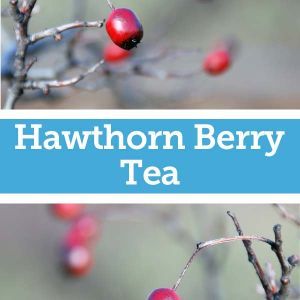 Baldwins Remedy Creator - Hawthorn Berry Tea