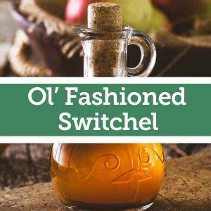 Baldwins Remedy Creator - Ol’ Fashioned Switchel