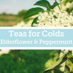 Baldwins Remedy Creator - Teas for Colds - Elderflower & Peppermint