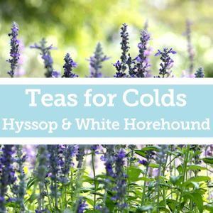 Baldwins Remedy Creator - Teas for Colds - White Horehound & Hyssop