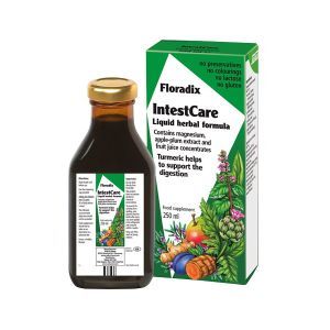Floradix Intestcare Liquid Supplement 250ml
