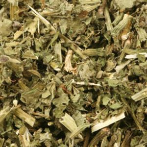 Baldwins Horehound Black ( Ballota nigra )