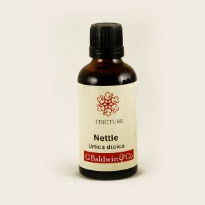 Baldwins Nettle ( Urtica dioica ) Herbal Tincture