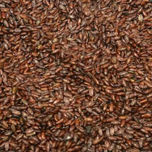 Baldwins Psyllium Seeds Dark ( Plantago Psyllium )