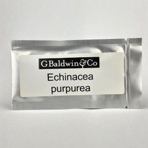 G. Baldwin & Co. Growing Seeds Echinacea ( Coneflower ) Herb Seeds Packet 5g