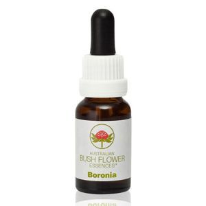 Australian Bush Flower Essences Boronia 15ml