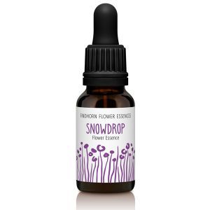 Findhorn Flower Essences Snow Drop 15ml