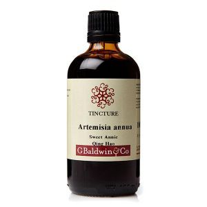 Baldwins Artemesia Annua (sweet Annie / Qing Hao) Herbal Tincture